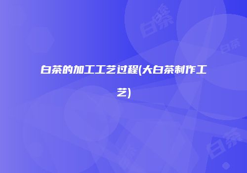 白茶的加工工艺过程(大白茶制作工艺)