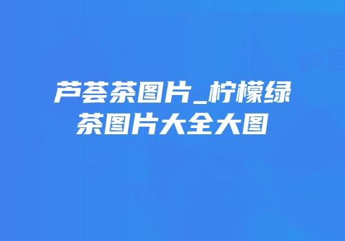 芦荟茶图片_柠檬绿茶图片大全大图