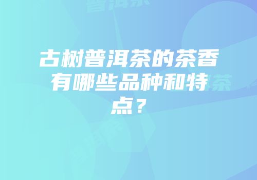 古树普洱茶的茶香有哪些品种和特点？
