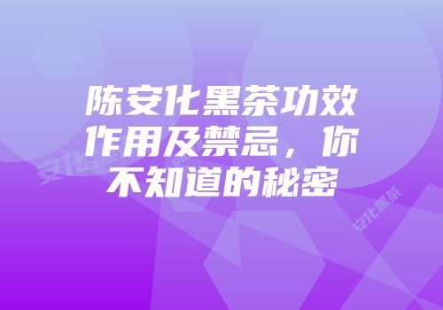 陈安化黑茶功效作用及禁忌，你不知道的秘密