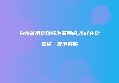 白茶能用玻璃杯泡着喝吗,茶叶在玻璃杯一直泡好吗