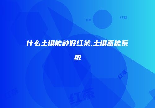 什么土壤能种好红茶,土壤蓄能系统