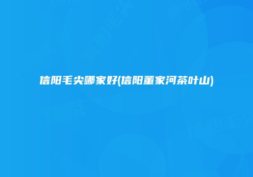 信阳毛尖哪家好(信阳董家河茶叶山)