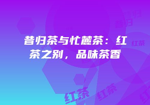昔归茶与忙麓茶：红茶之别，品味茶香