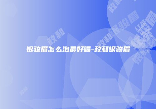 银骏眉怎么泡最好喝-政和银骏眉