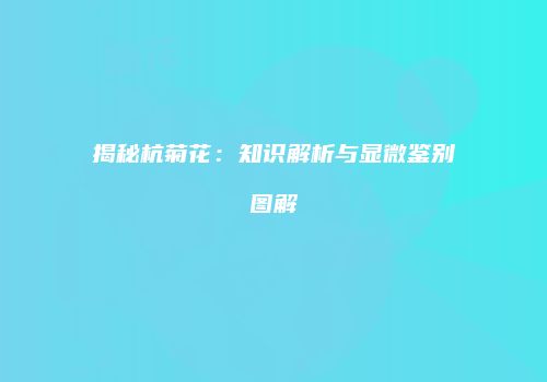 揭秘杭菊花：知识解析与显微鉴别图解
