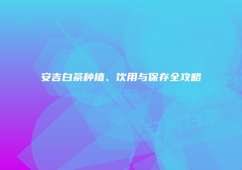 安吉白茶种植、饮用与保存全攻略