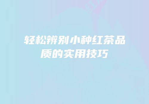 轻松辨别小种红茶品质的实用技巧