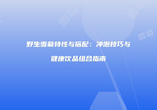 野生雪菊特性与搭配：冲泡技巧与健康饮品组合指南