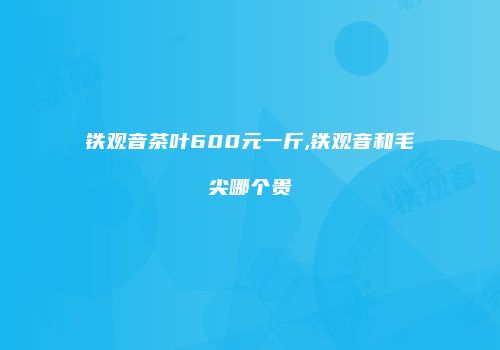 铁观音茶叶600元一斤,铁观音和毛尖哪个贵