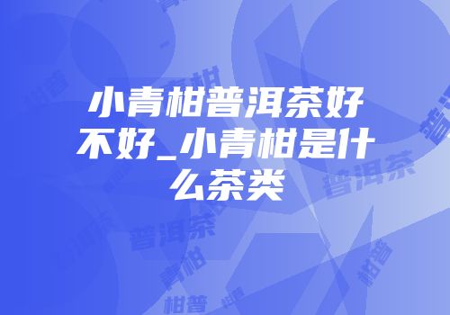 小青柑普洱茶好不好_小青柑是什么茶类