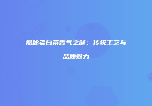 揭秘老白茶香气之谜：传统工艺与品质魅力