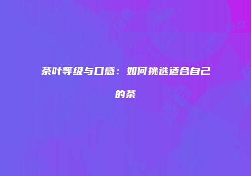 茶叶等级与口感：如何挑选适合自己的茶