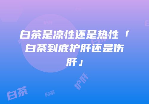 白茶是凉性还是热性「白茶到底护肝还是伤肝」