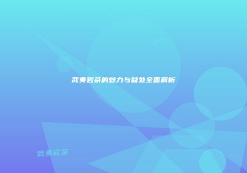 武夷岩茶的魅力与益处全面解析