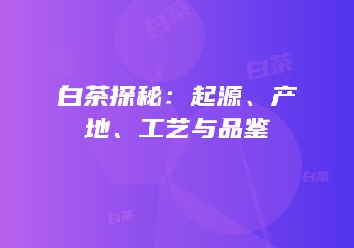 白茶探秘：起源、产地、工艺与品鉴