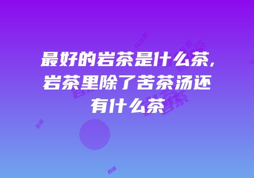 最好的岩茶是什么茶,岩茶里除了苦茶汤还有什么茶