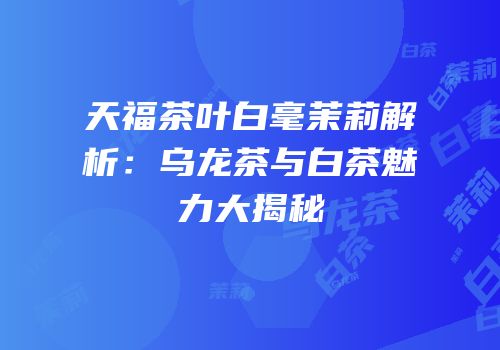 天福茶叶白毫茉莉解析：乌龙茶与白茶魅力大揭秘