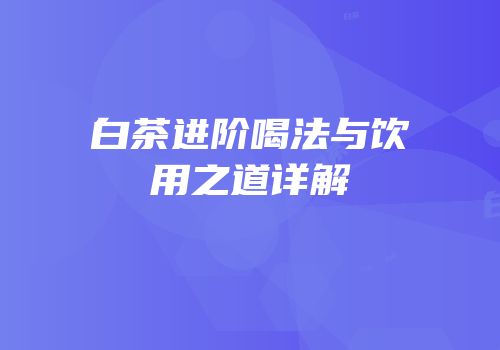 白茶进阶喝法与饮用之道详解
