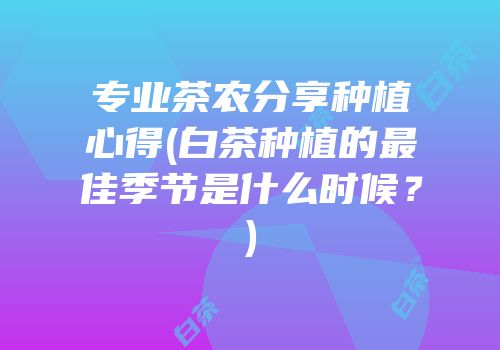 专业茶农分享种植心得(白茶种植的最佳季节是什么时候？)