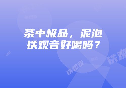 茶中极品，泥泡铁观音好喝吗？