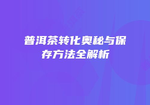 普洱茶转化奥秘与保存方法全解析