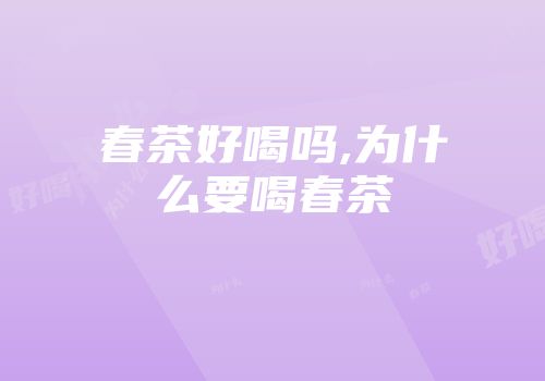 春茶好喝吗,为什么要喝春茶