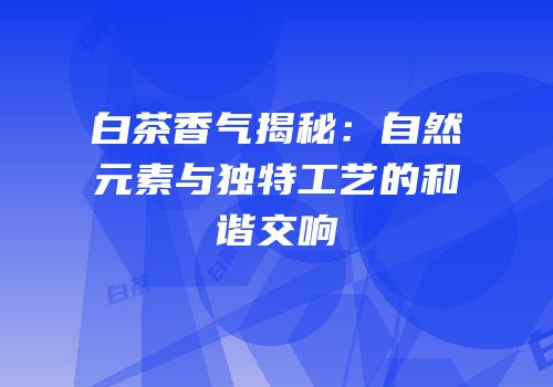 白茶香气揭秘：自然元素与独特工艺的和谐交响