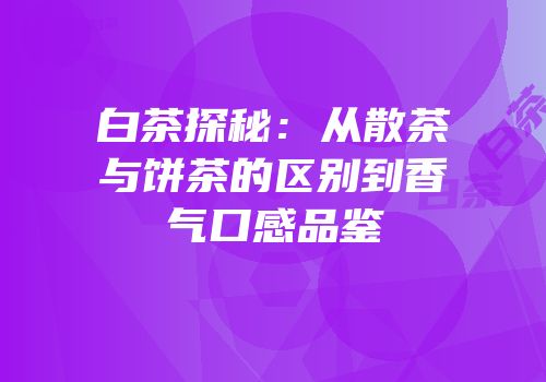 白茶探秘：从散茶与饼茶的区别到香气口感品鉴