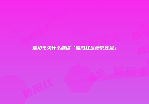 信阳毛尖什么味道「信阳红是绿茶还是」