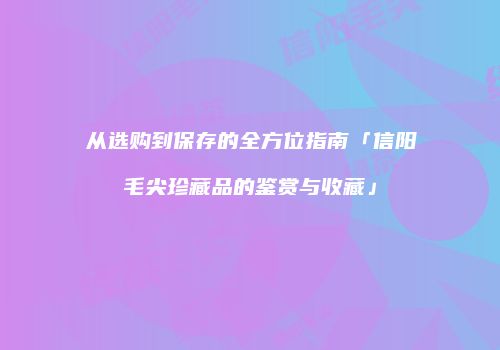 从选购到保存的全方位指南「信阳毛尖珍藏品的鉴赏与收藏」
