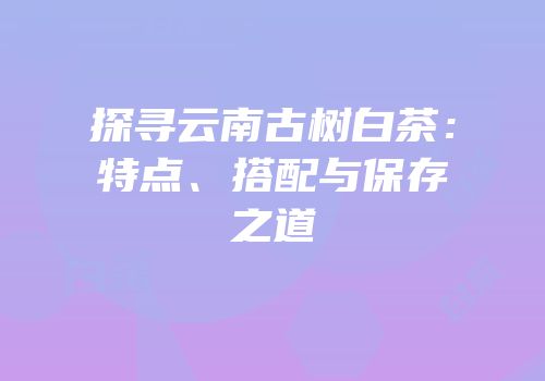 探寻云南古树白茶：特点、搭配与保存之道