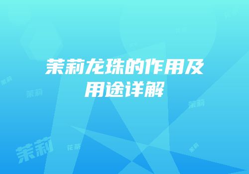 茉莉龙珠的作用及用途详解