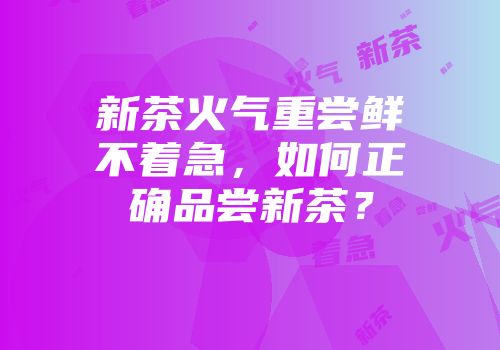 新茶火气重尝鲜不着急，如何正确品尝新茶？