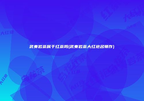 武夷岩茶属于红茶吗(武夷岩茶大红袍名师作)