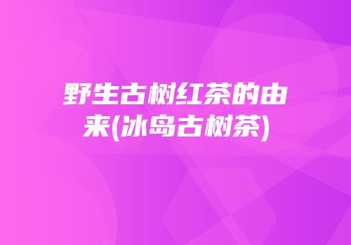 野生古树红茶的由来(冰岛古树茶)