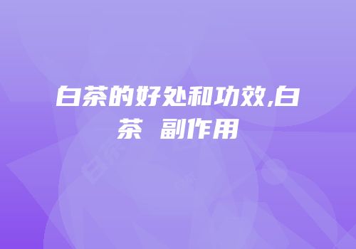 白茶的好处和功效,白茶 副作用