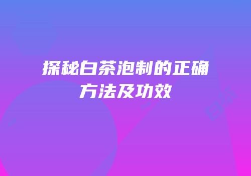 探秘白茶泡制的正确方法及功效