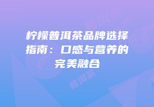 柠檬普洱茶品牌选择指南：口感与营养的完美融合