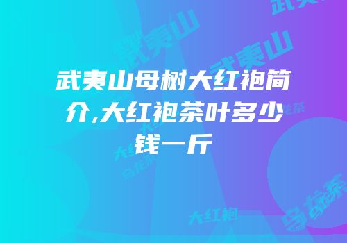 武夷山母树大红袍简介,大红袍茶叶多少钱一斤