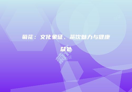 菊花：文化象征、茶饮魅力与健康益处