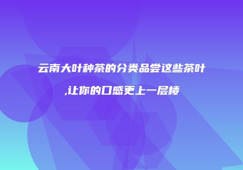 云南大叶种茶的分类品尝这些茶叶,让你的口感更上一层楼