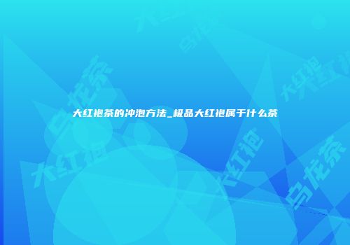 大红袍茶的冲泡方法_极品大红袍属于什么茶