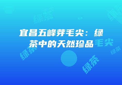 宜昌五峰芽毛尖：绿茶中的天然珍品