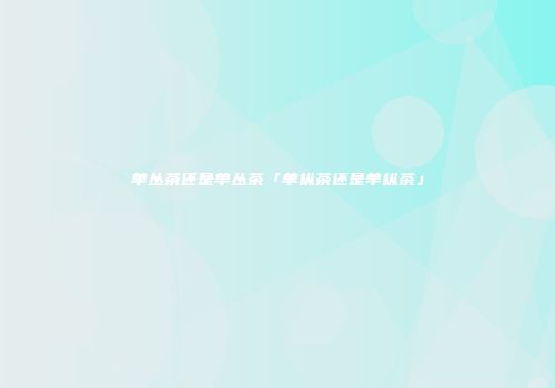 单丛茶还是单丛茶「单枞茶还是单枞茶」