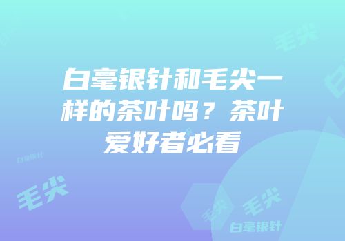 白毫银针和毛尖一样的茶叶吗？茶叶爱好者必看