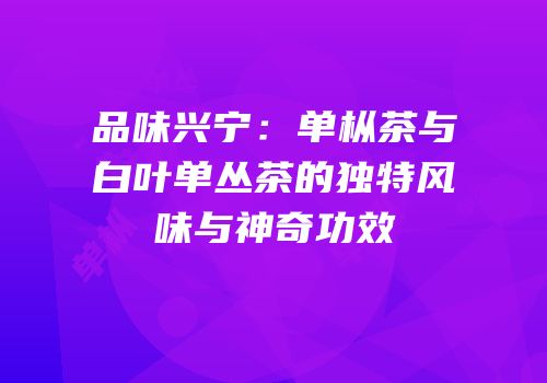 品味兴宁：单枞茶与白叶单丛茶的独特风味与神奇功效