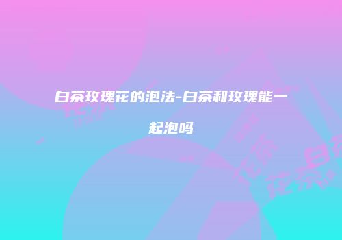 白茶玫瑰花的泡法-白茶和玫瑰能一起泡吗