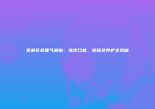 茉莉花茶香气解析：浓淡口感、成因及养护全揭秘