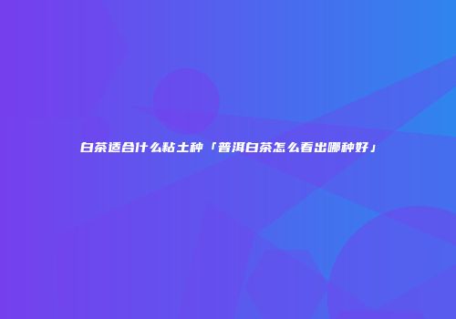 白茶适合什么粘土种「普洱白茶怎么看出哪种好」